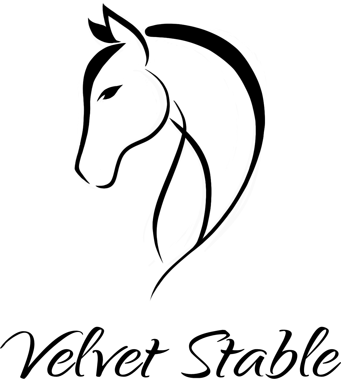 Logo velvet stable